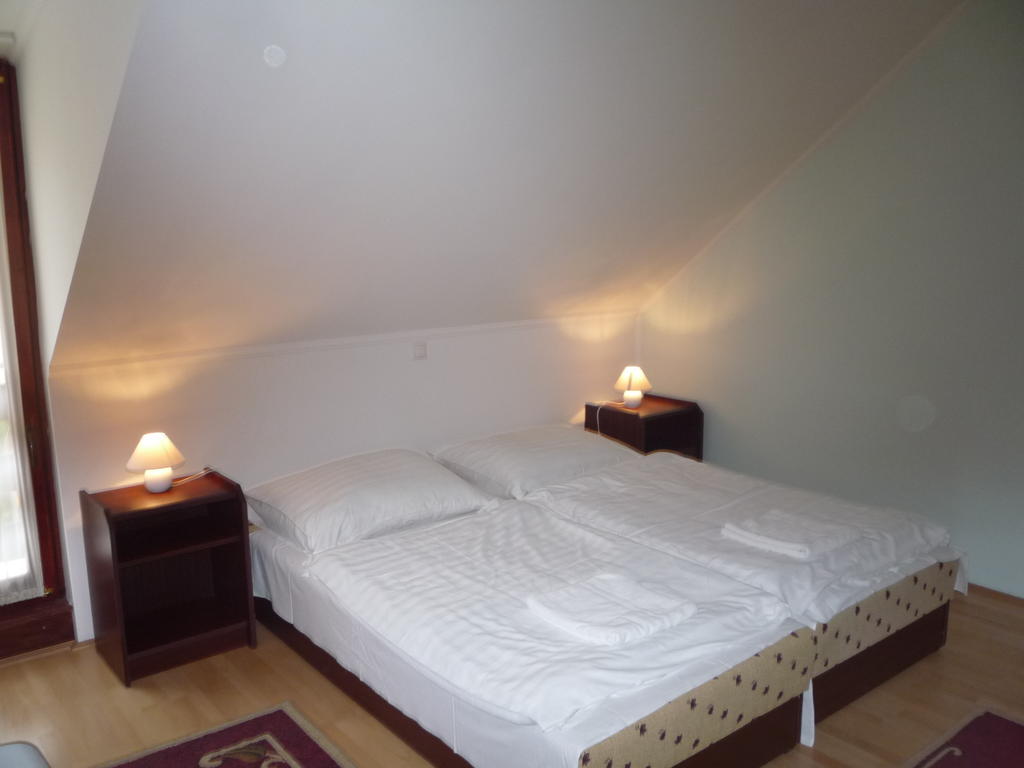 Aba Vezer Vendeghaz Hotel Abaújszántó Стая снимка